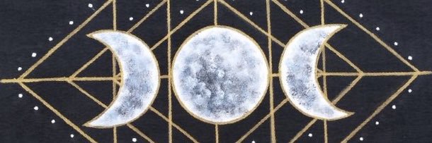 Cat McCarty banner