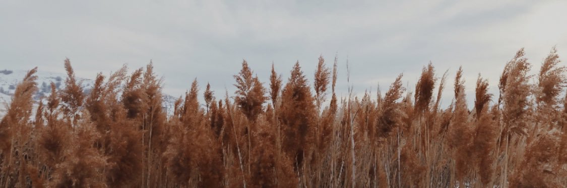 Rachel_Bburn's profile banner image