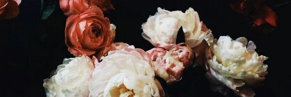 socialgeriatric's profile banner image