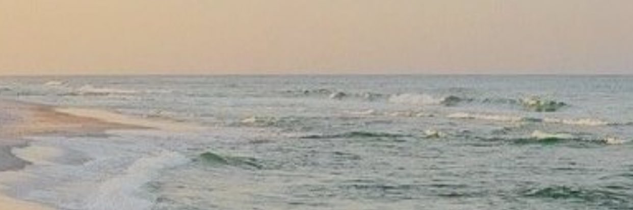 Hails115's profile banner image