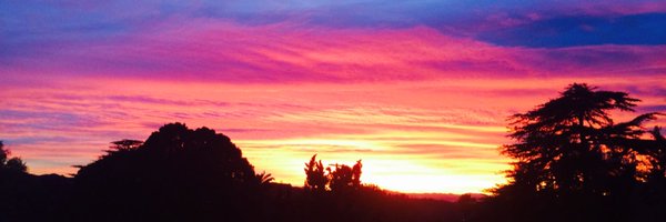 api_lisa Profile Banner