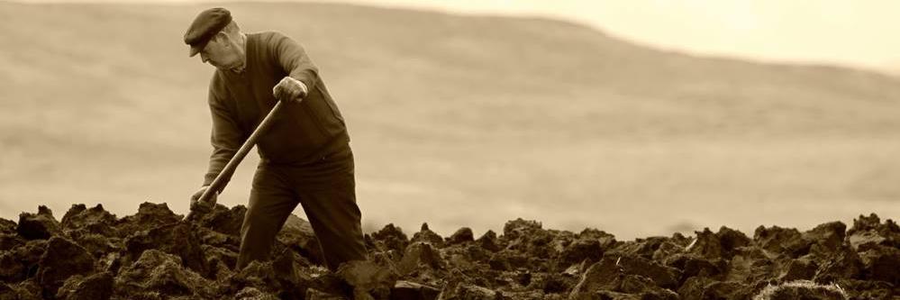 toscanorl's profile banner image