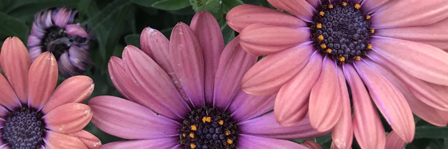 aunjayyy's profile banner image