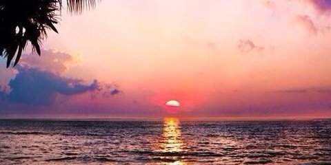 bnochs124's profile banner image