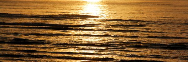 BobBowdon Profile Banner