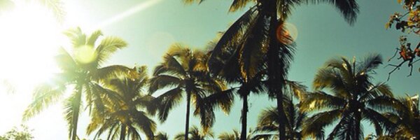 SoCalAcademyRP Profile Banner