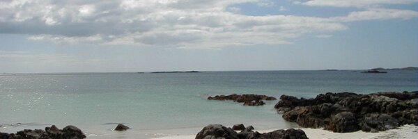 filemot Profile Banner