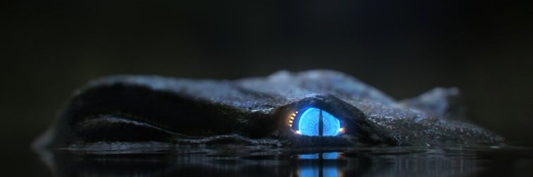 hckakf's profile banner image