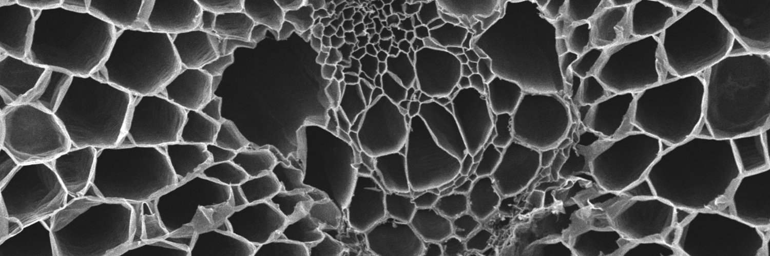 Andrew Pelling 🧫🔬 banner