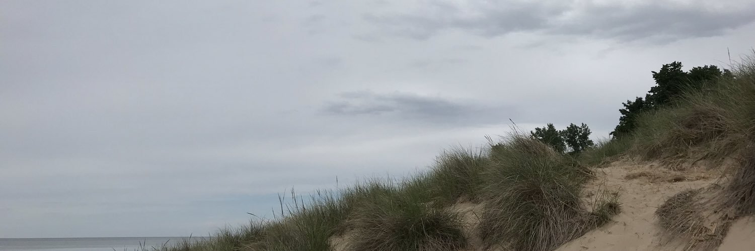 torihuh's profile banner image