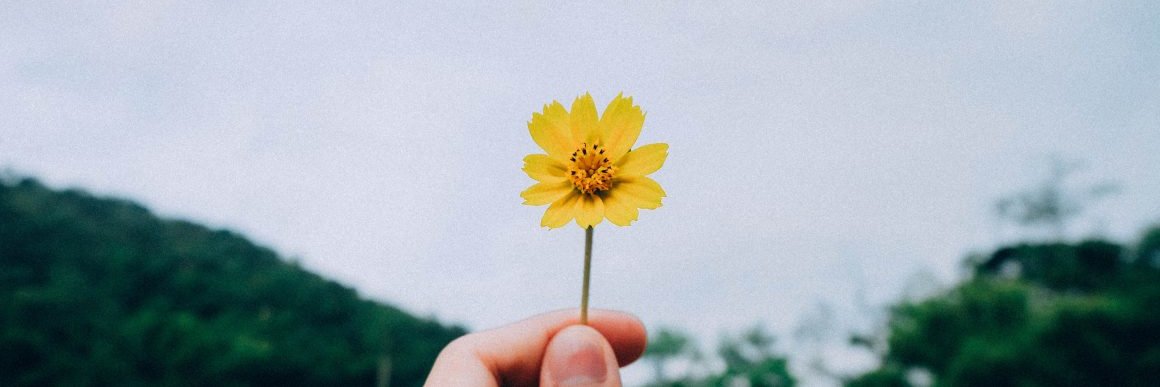 eitacarlossp's profile banner image