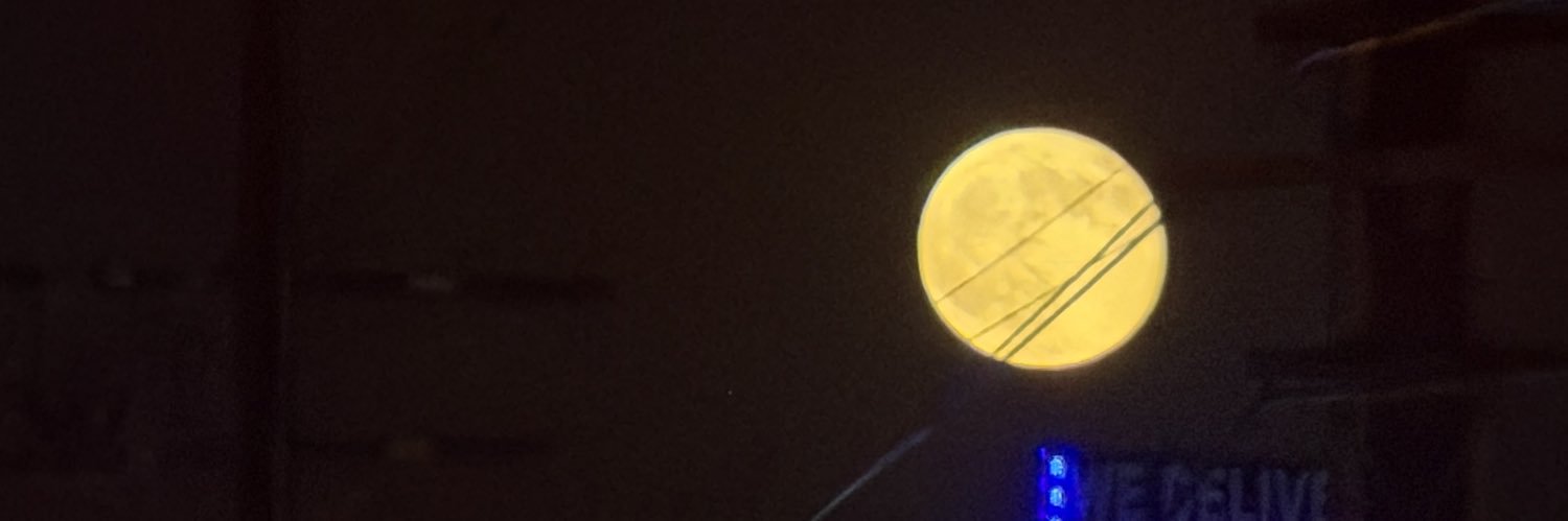 spammierae's profile banner image