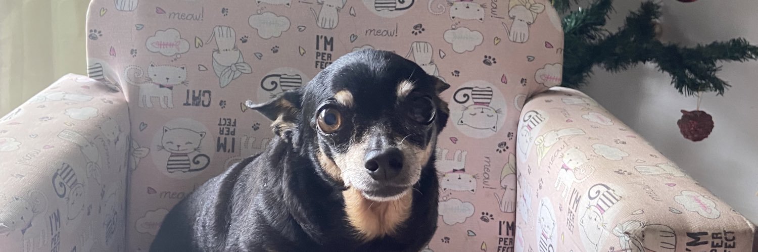nadynepg's profile banner image