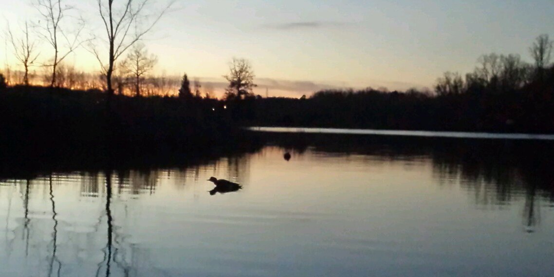 hypwaterfowl's profile banner image