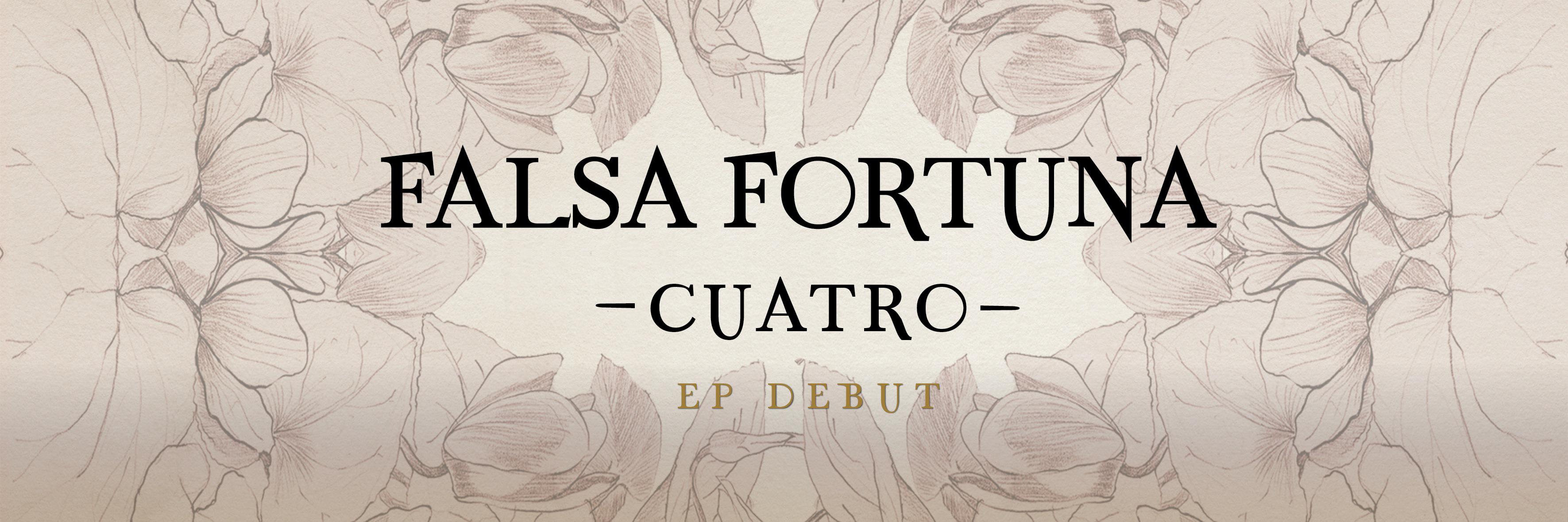 FalsaFortuna's profile banner image
