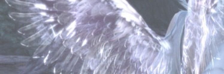 _WhoIsLynn_'s profile banner image
