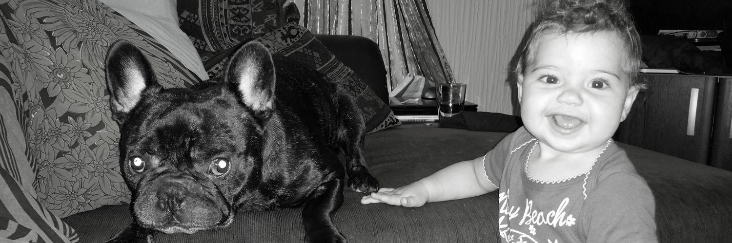 Veljo Mrdakovic banner