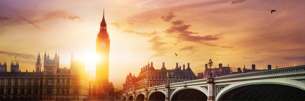 ✨Liza✨'s banner