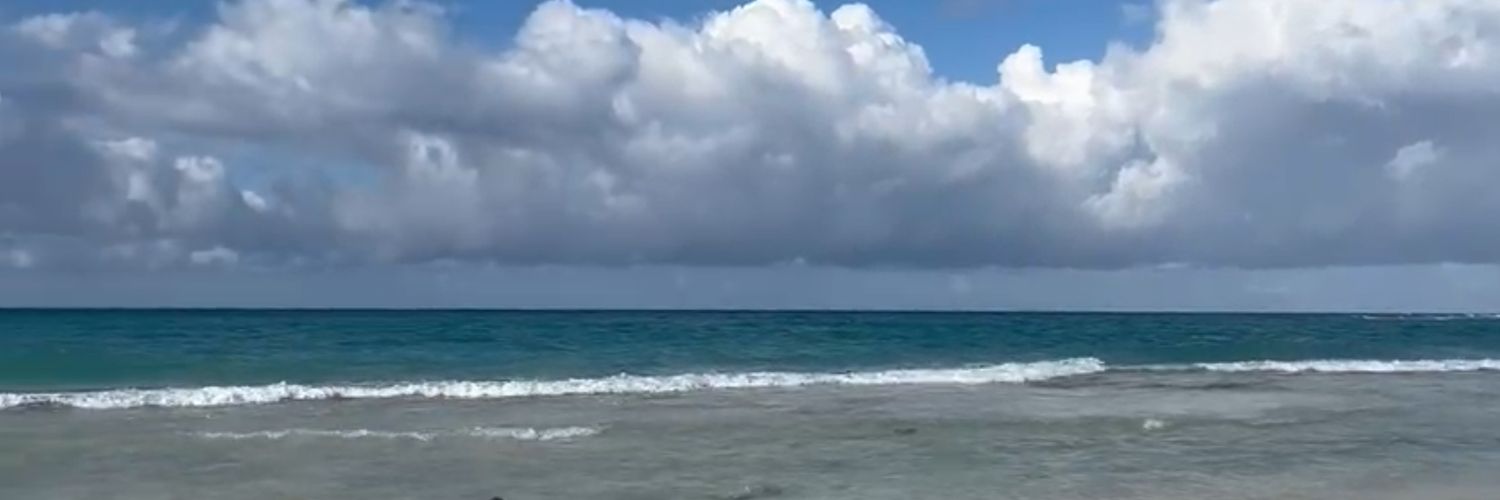 AtaJohnny's profile banner image