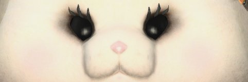 salamander_kmtk's profile banner image
