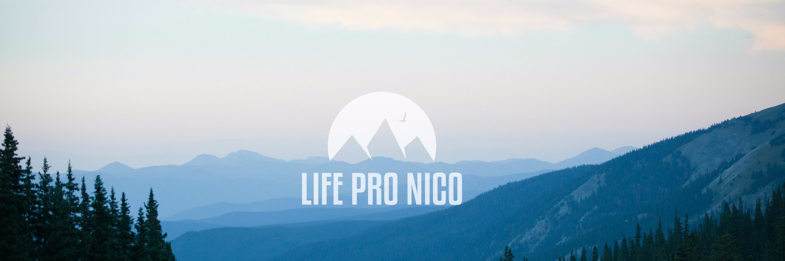 lifepronico's profile banner image