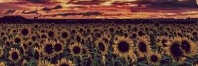 Bethy_danielle's profile banner image
