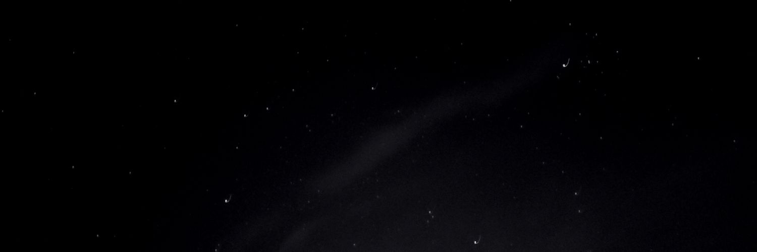 zwhatsername's profile banner image