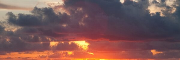 Rachel_STBC Profile Banner