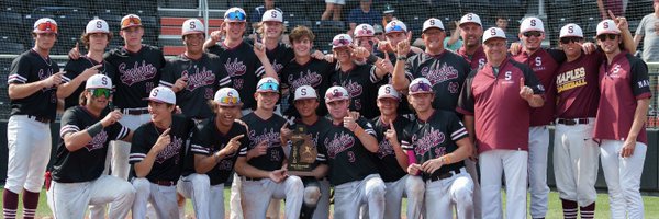 MaplesBaseball Profile Banner