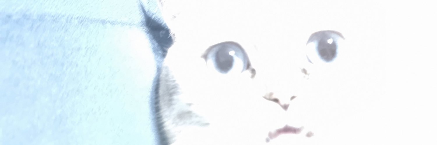 iniberr's profile banner image