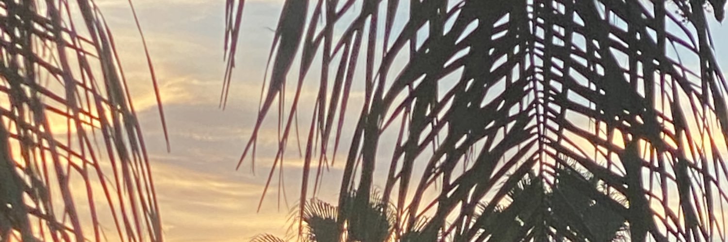 Al Solanik banner
