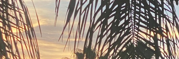 AlSolanik Profile Banner