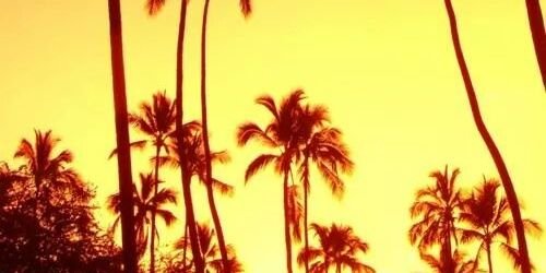 EstNieto15's profile banner image