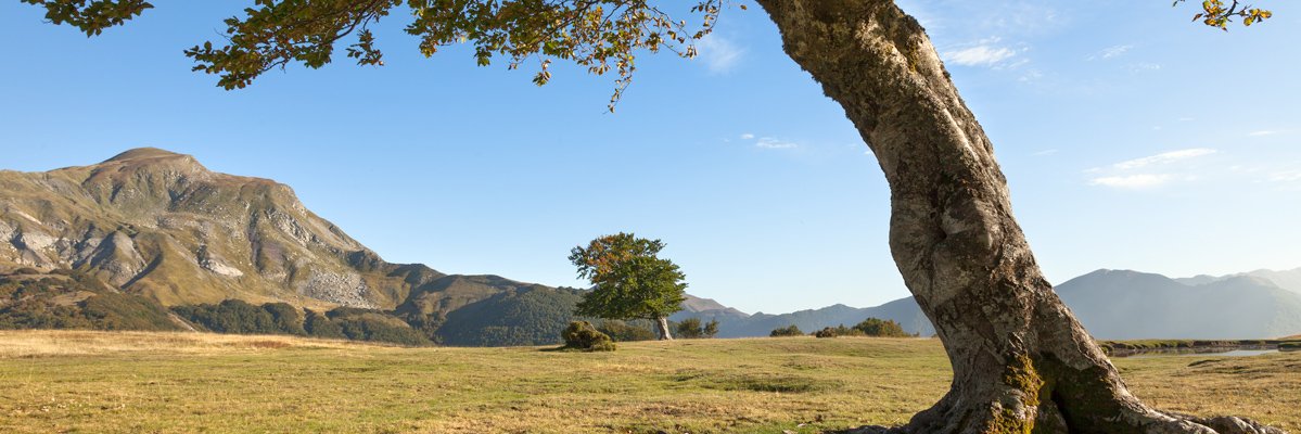 giopab's profile banner image