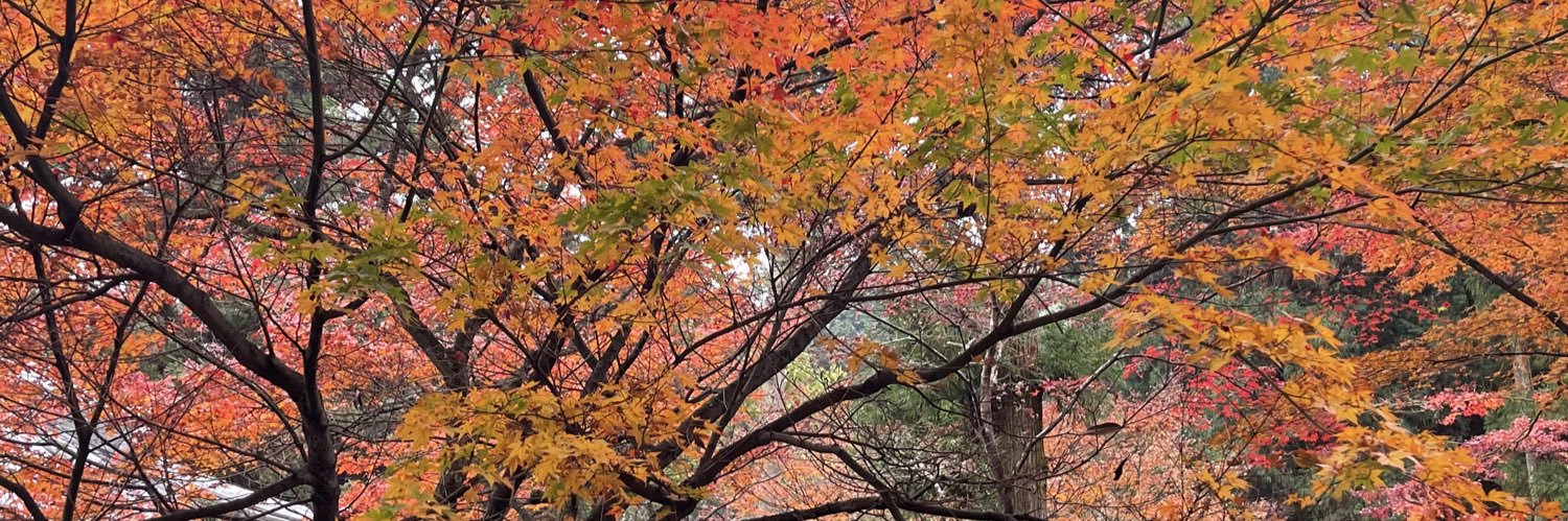 deardrops69604's profile banner image