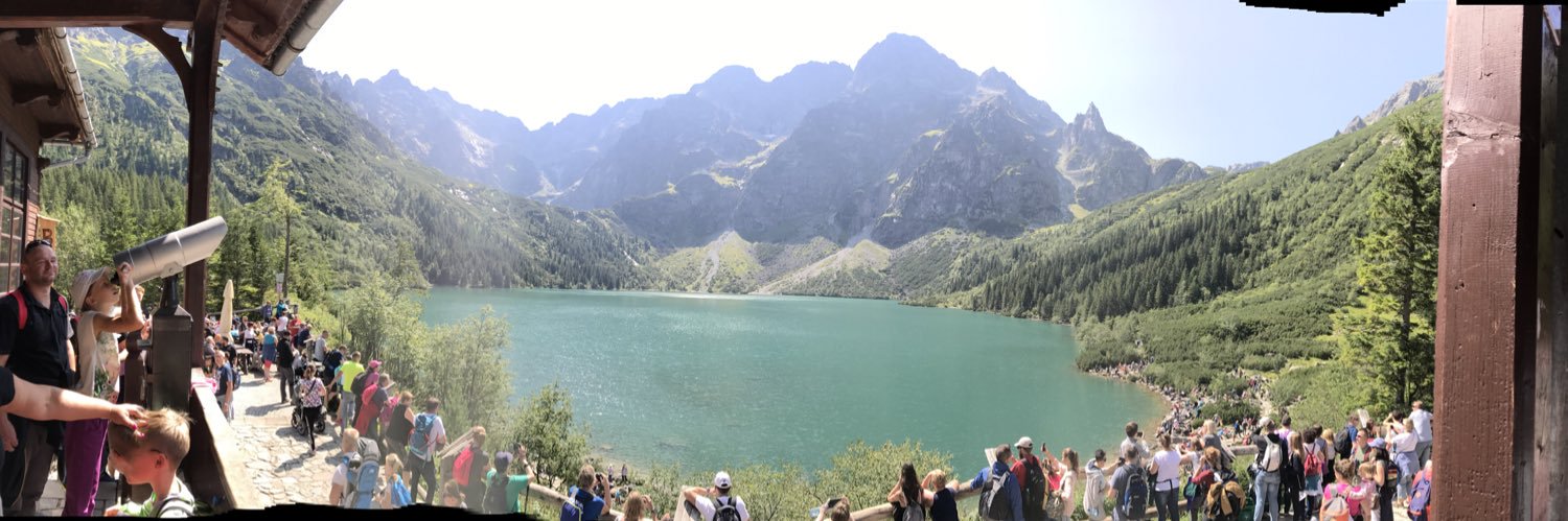 Ana L. Seisdedos banner