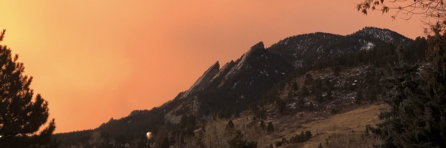 Owldreama's profile banner image