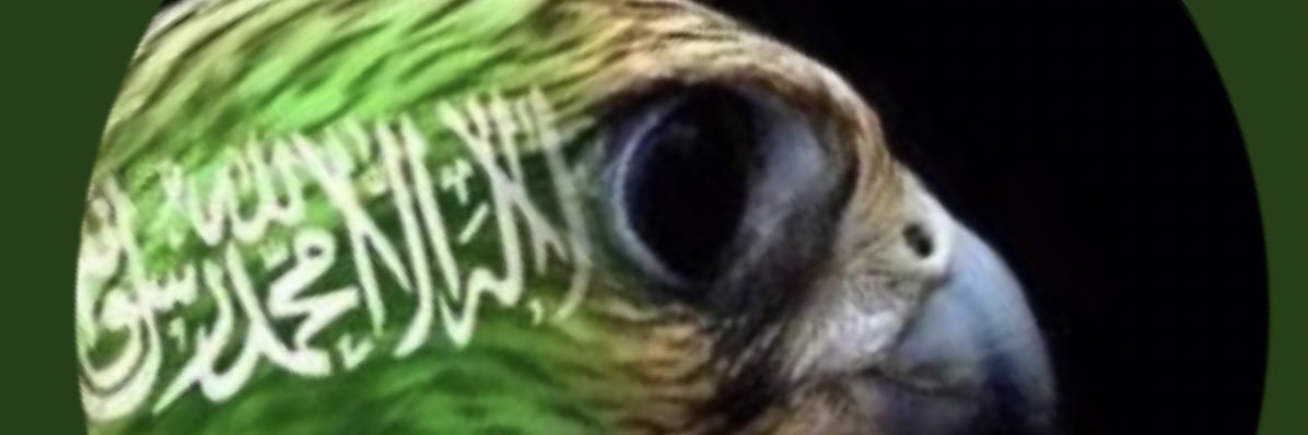 q_totti's profile banner image