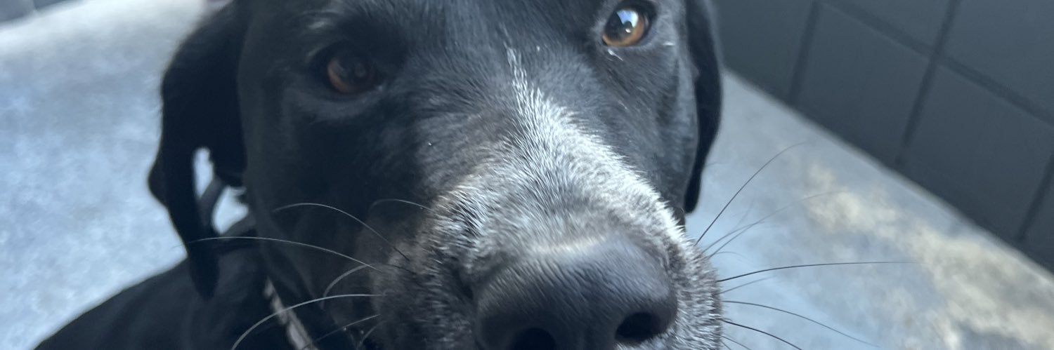 jvvcks's profile banner image