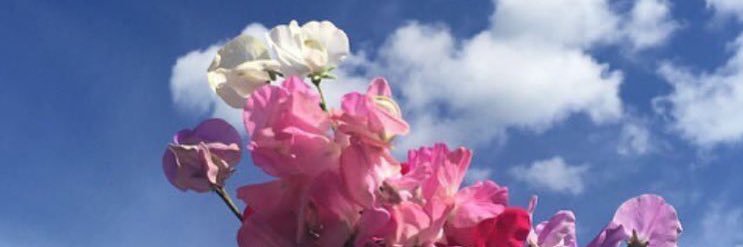 Hayatalro7_'s profile banner image