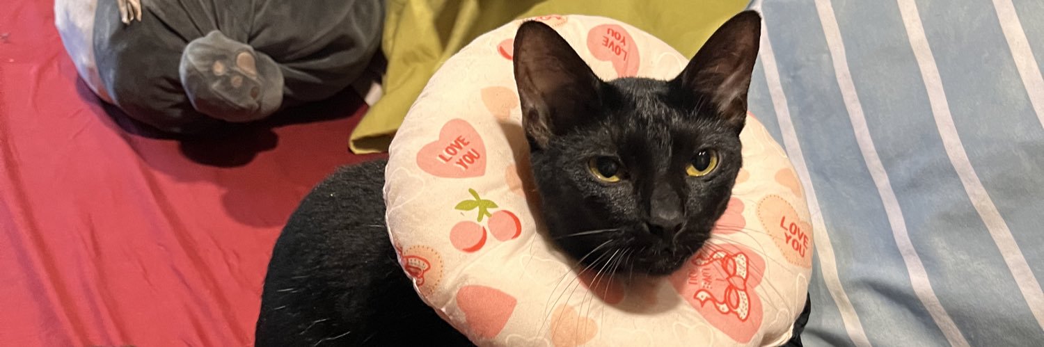 mondelyoden's profile banner image