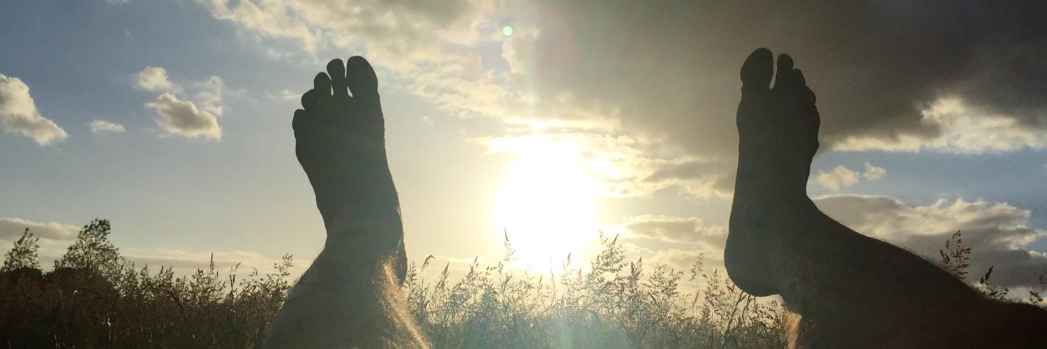 spinesnapper's profile banner image