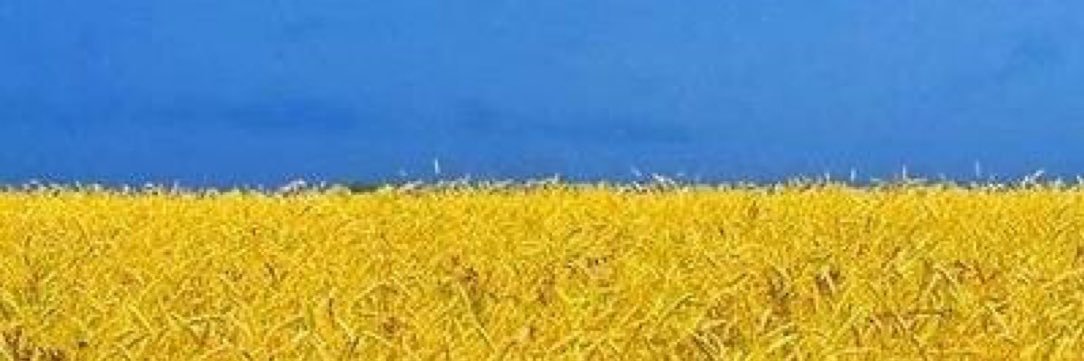 Mark Pijnappels 🇺🇦🏳️‍🌈 banner