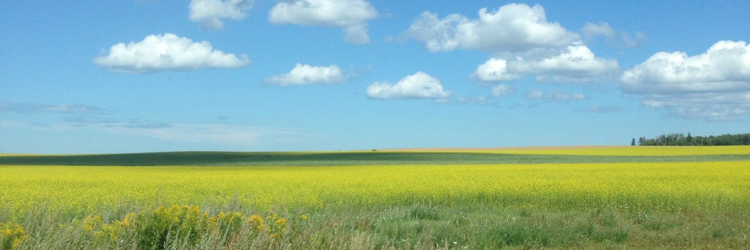 TerryTrobie's profile banner image