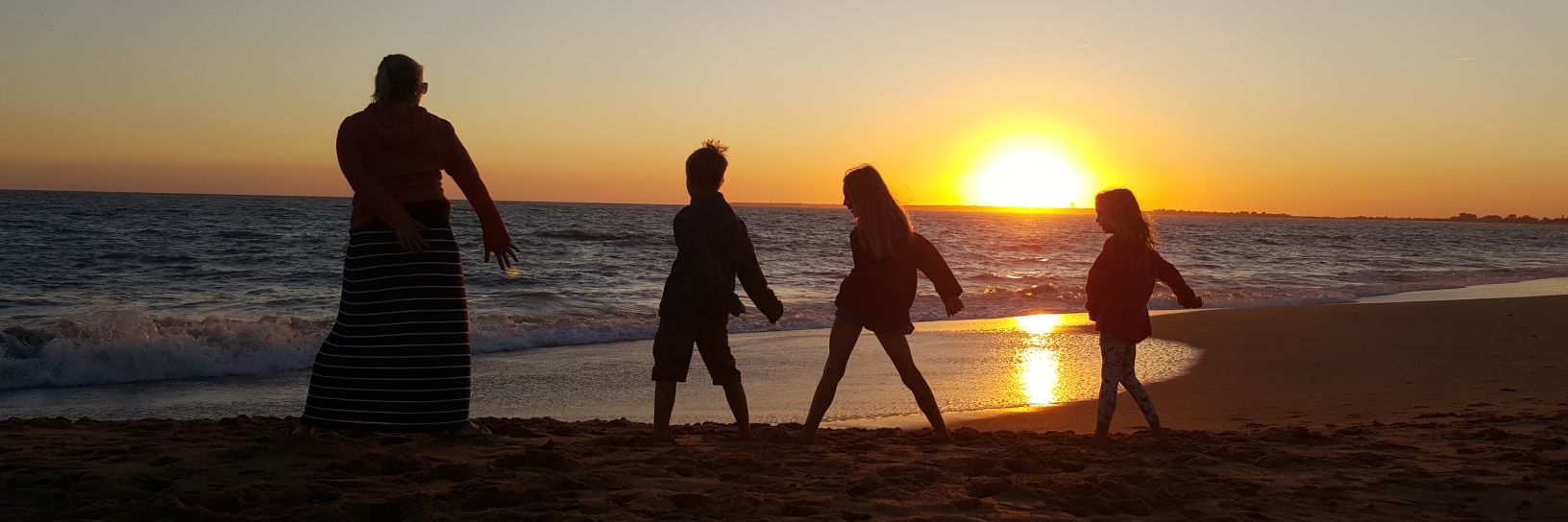 Paul Sheppard banner