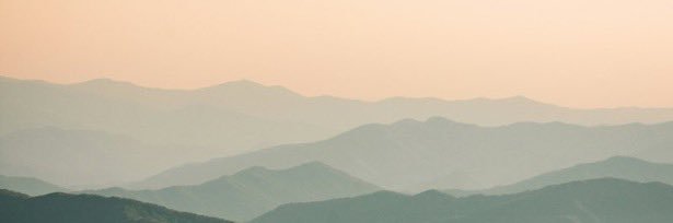 oscar banner