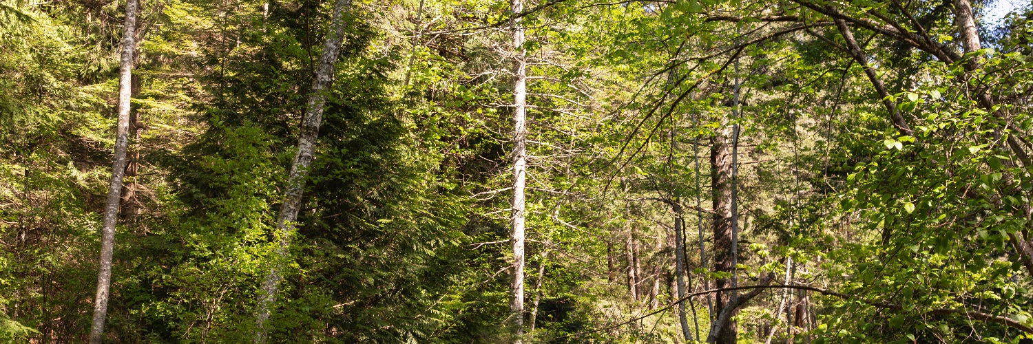 FairburnS's profile banner image