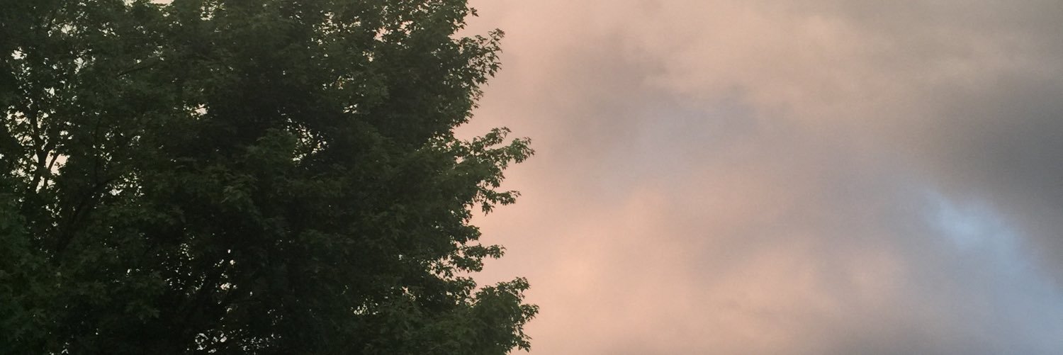rahkeeks's profile banner image