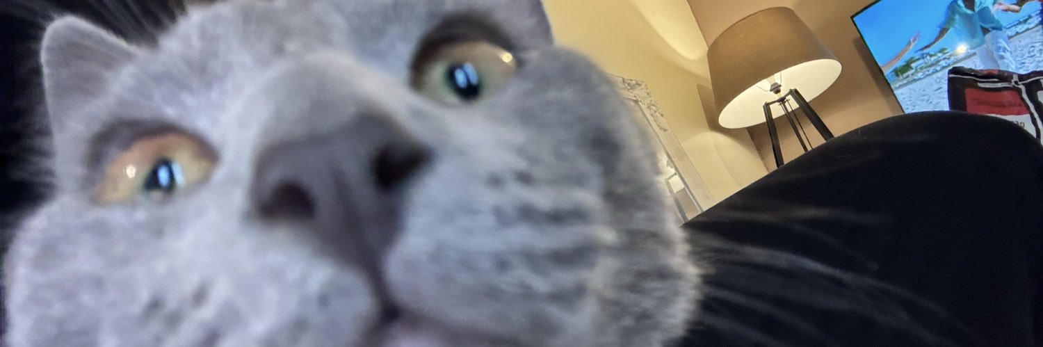 Lena_Bisson's profile banner image