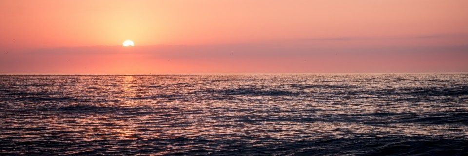 Antomel80's profile banner image